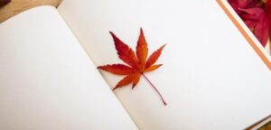 maple-leaf