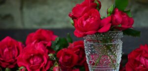 roses