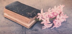 Il profumo e l’arte di farsi ricordare