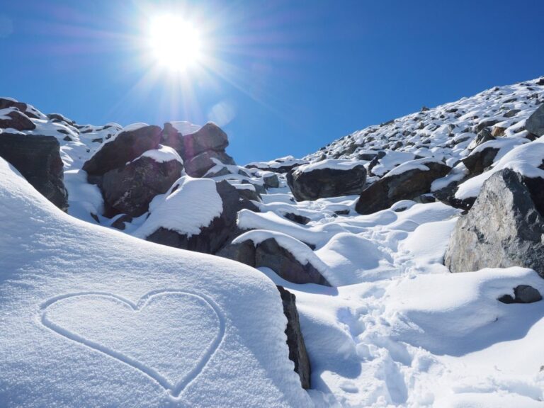 Carnia innevata