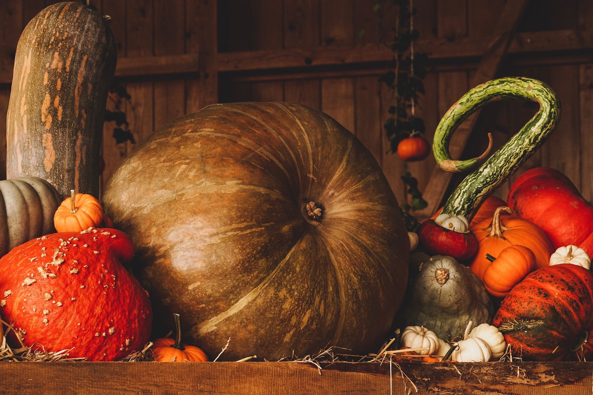 frutta e verdura invernale